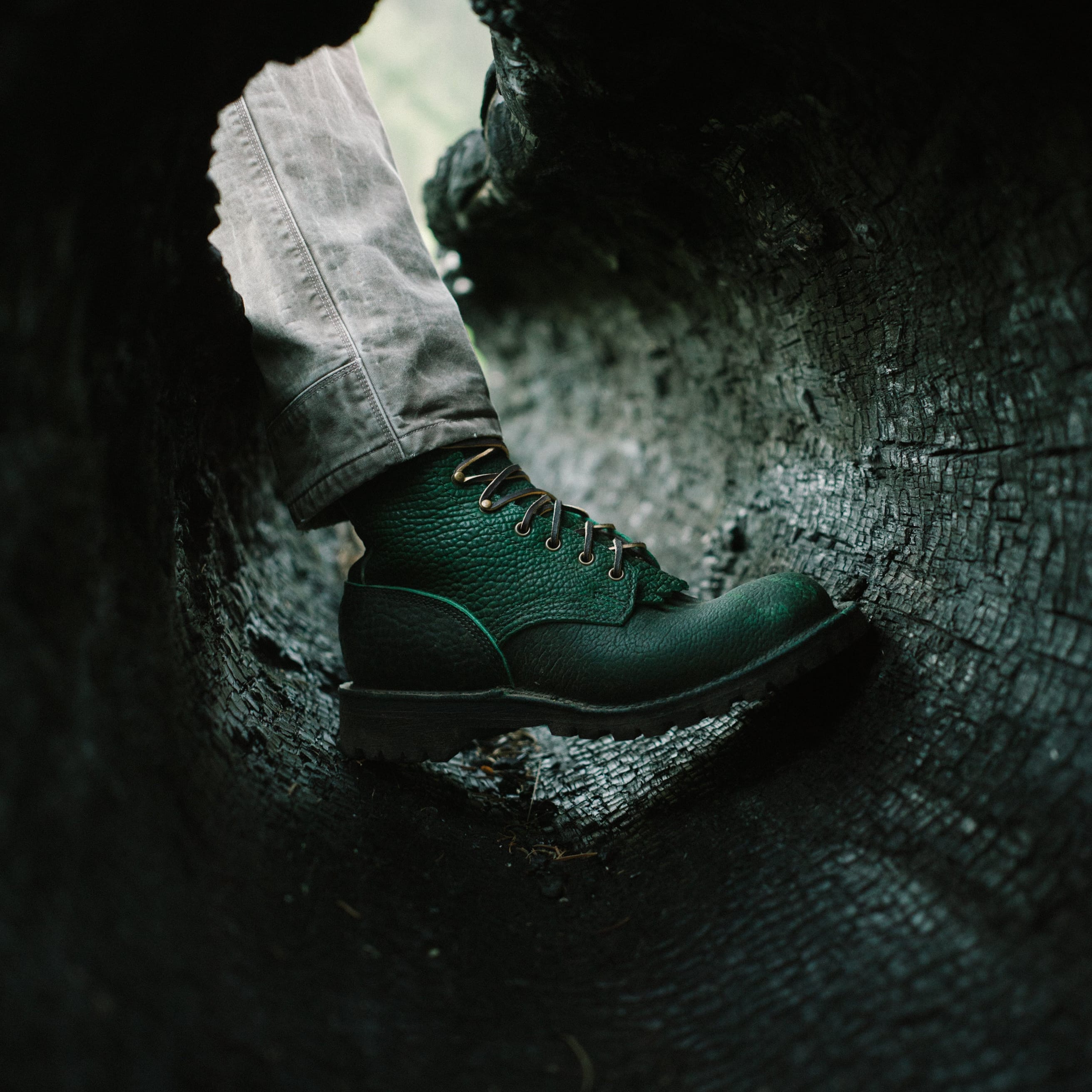The Raptor Collection | Limited Edition Jurassic Bison Leather