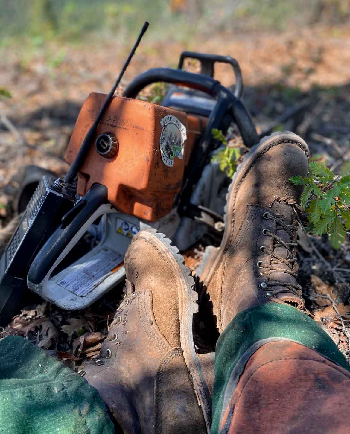 JKphoto6.jpg?v=1703083410