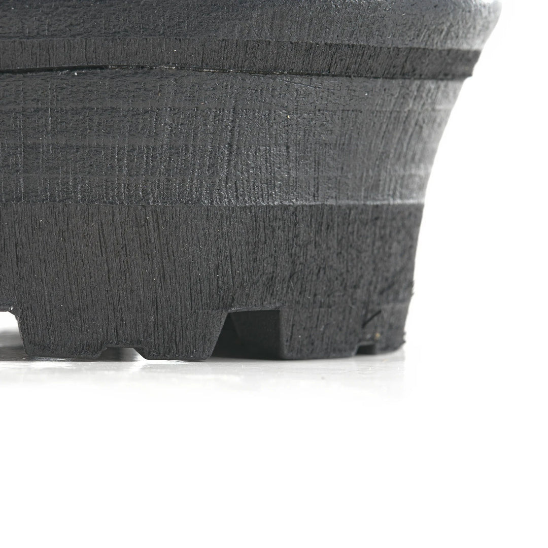 Arctic No. 1 - Black