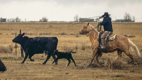 7 Essential Tips For Selecting the Right Cowboy Boots