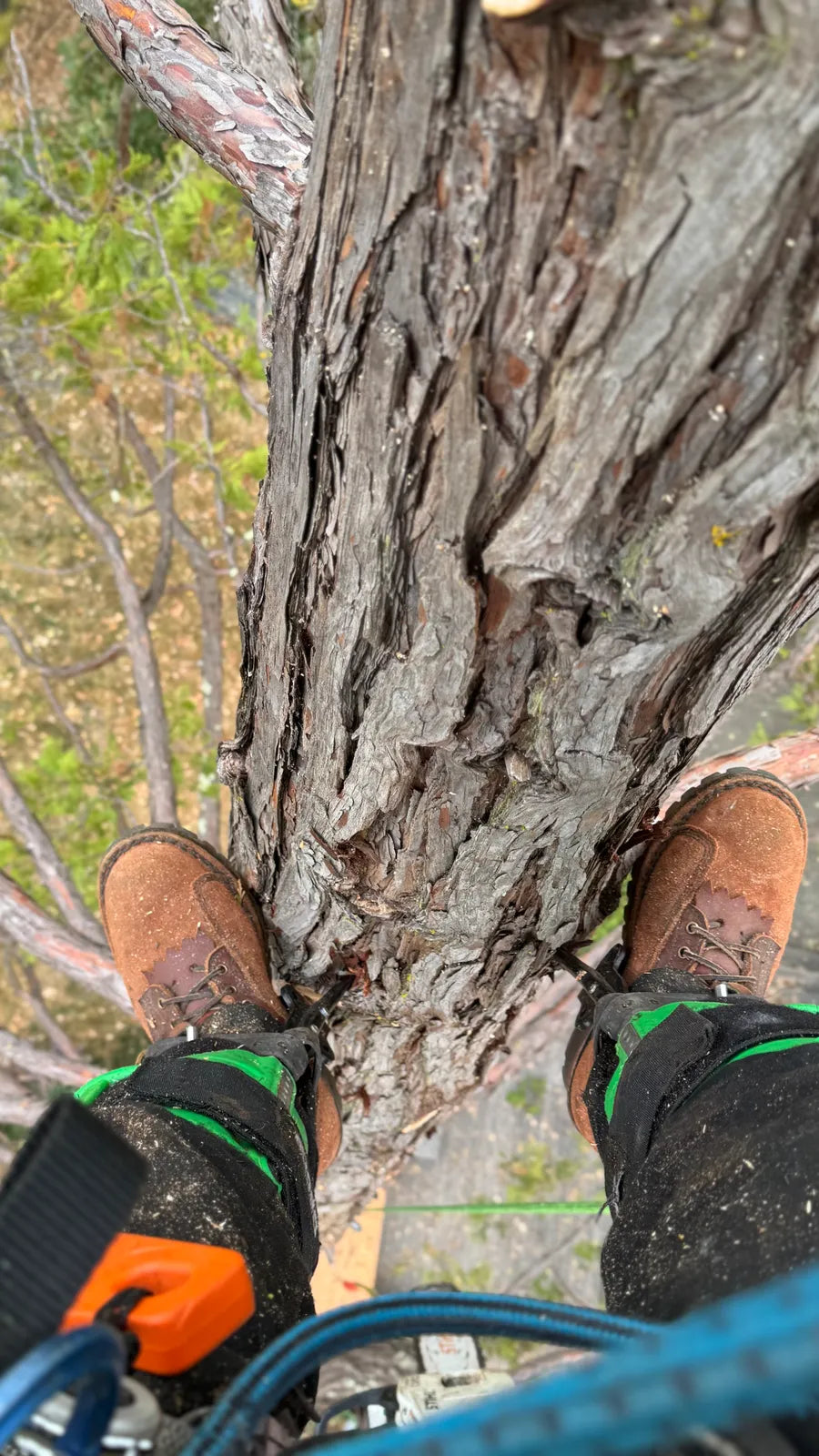 Climb With Confidence: Real Reviews of the JK Boots Climber