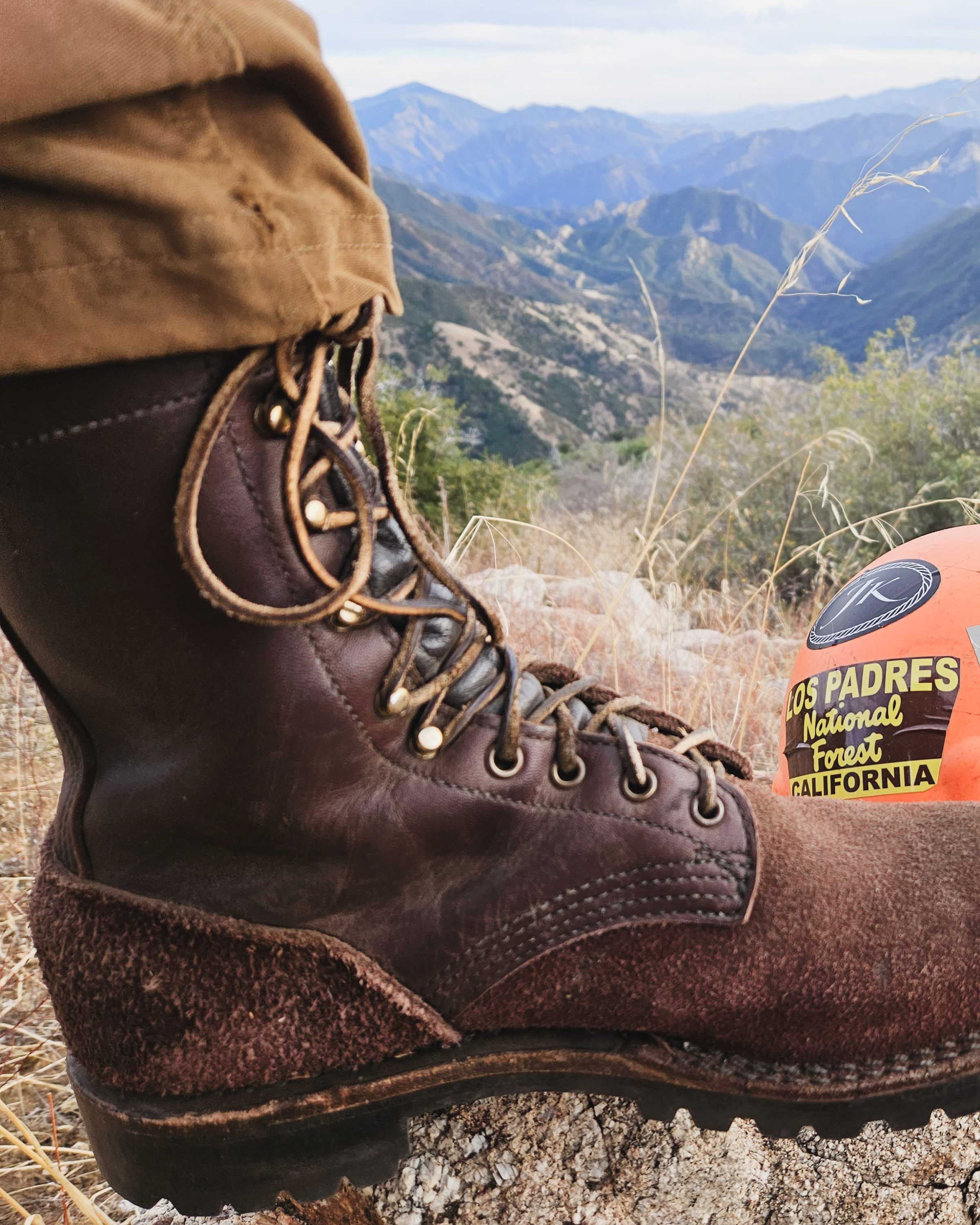 Georgia wildland fire on sale boots