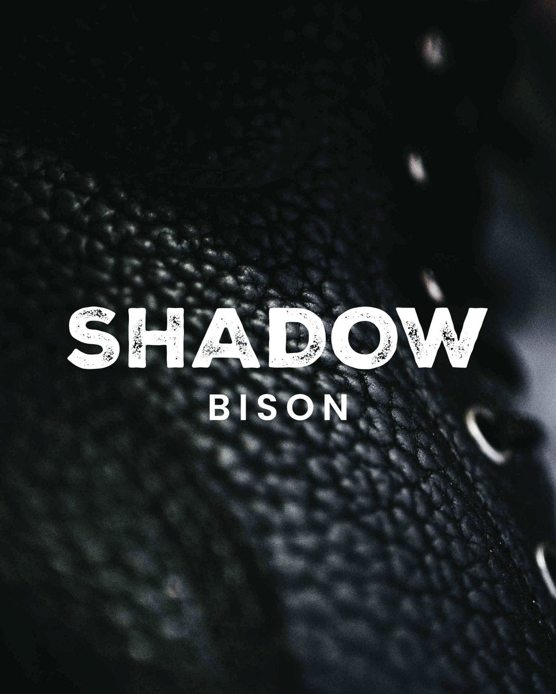 Shadow Bison