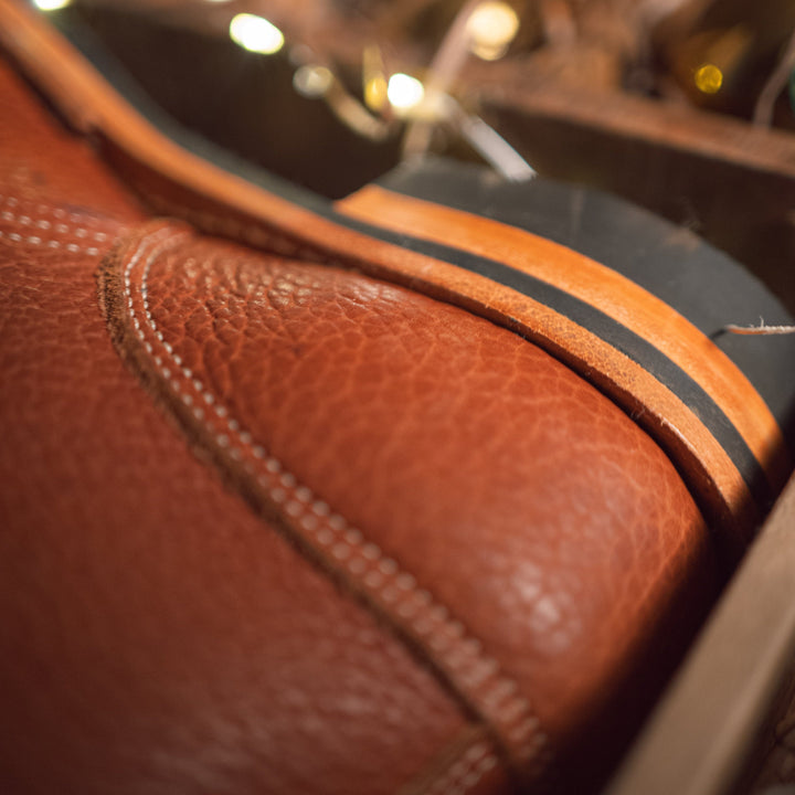 Archer - Canyon Bison