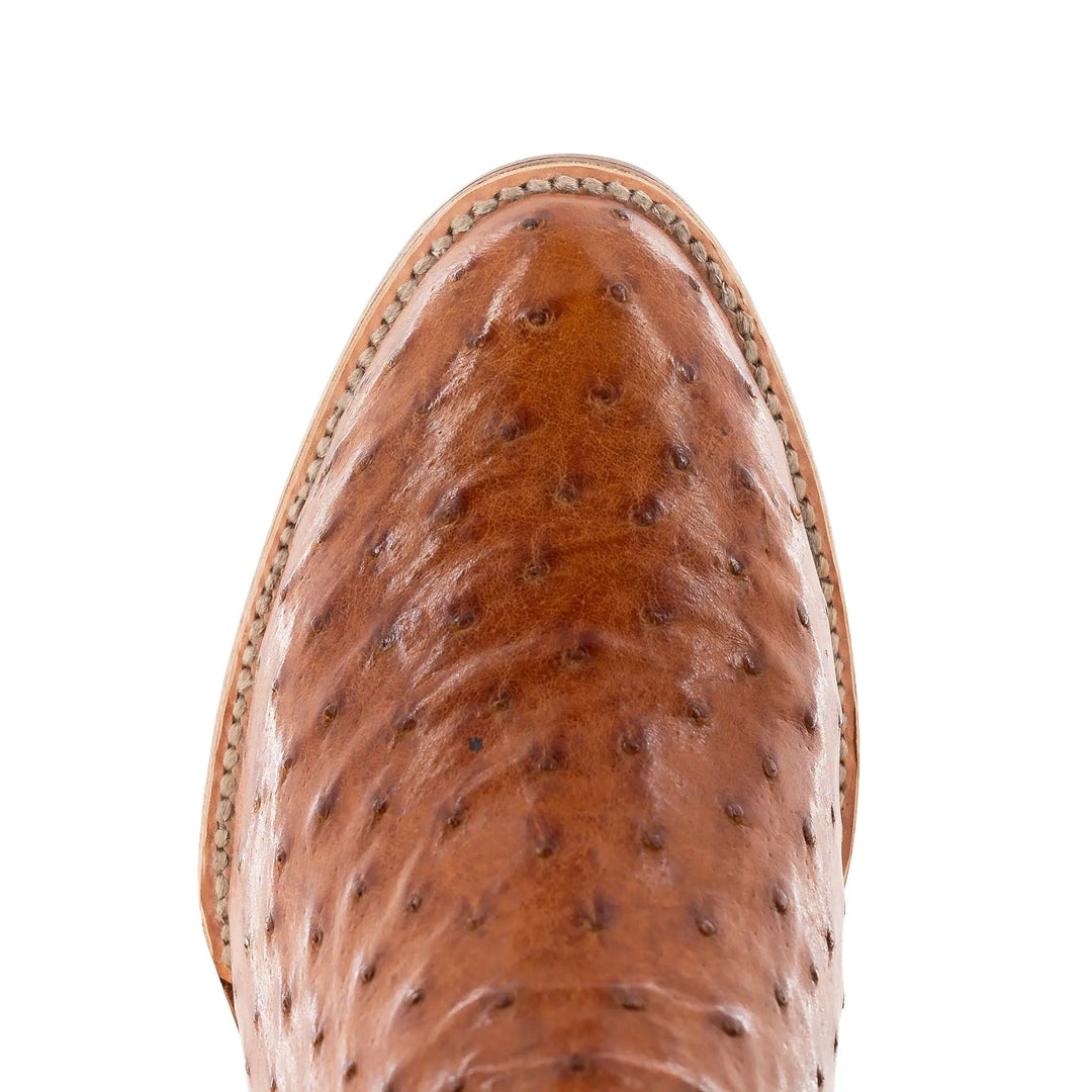 The Doc - Chocolate/Cognac FQ Ostrich