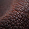 Bison
