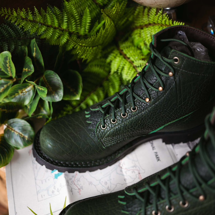 Raptor X